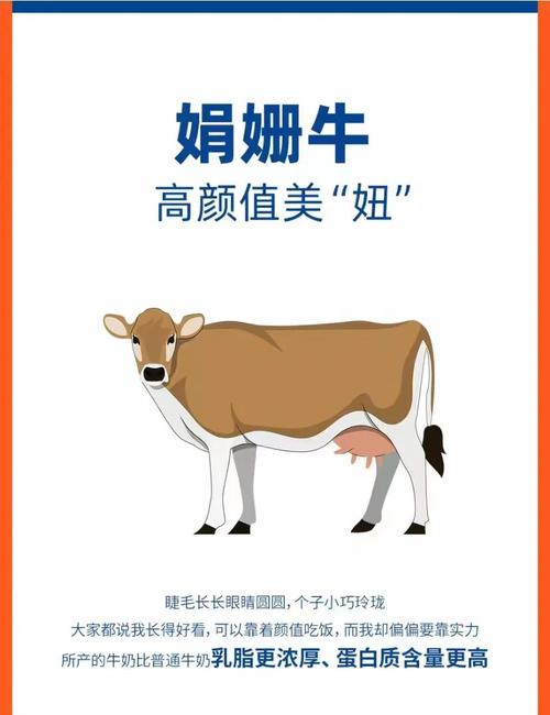 世界上最好的奶牛品种是哪个?-图3 世界上最好的奶牛品种是哪个?-图3