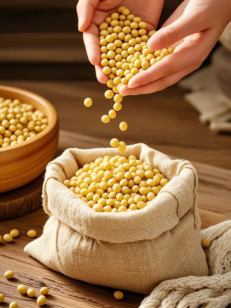 黑龙江大豆2025价格会涨还是跌？-图3