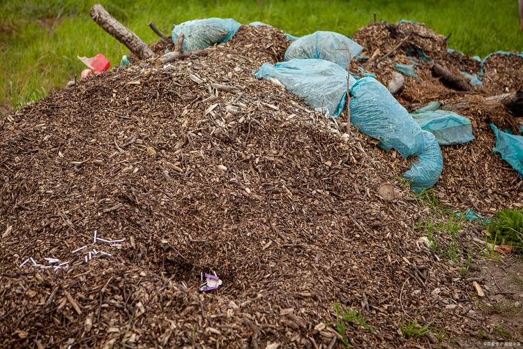 秸秆猪粪混种菌,技术难点在哪?-图1 秸秆猪粪混种菌,技术难点在哪?-图1