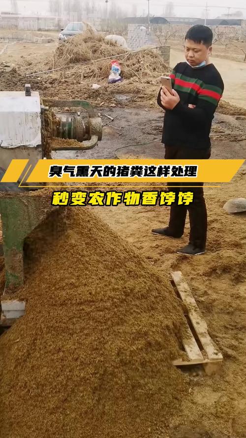 秸秆猪粪混种菌，技术难点在哪？-图3