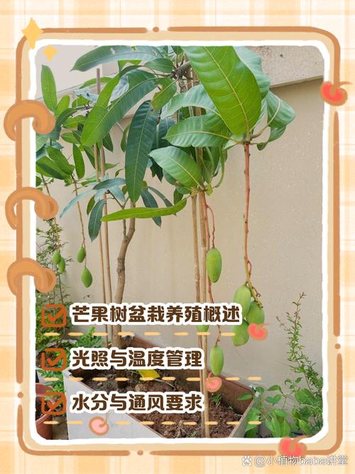如何实现芒果高产?栽培技术要点有哪些?-图1 如何实现芒果高产?栽培技术要点有哪些?-图1
