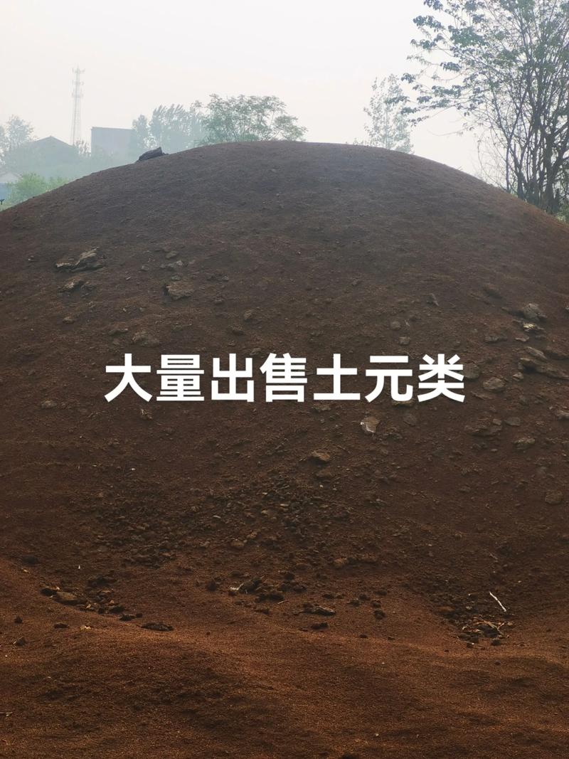 2025土元市场价格会涨还是跌?-图2 2025土元市场价格会涨还是跌?-图2