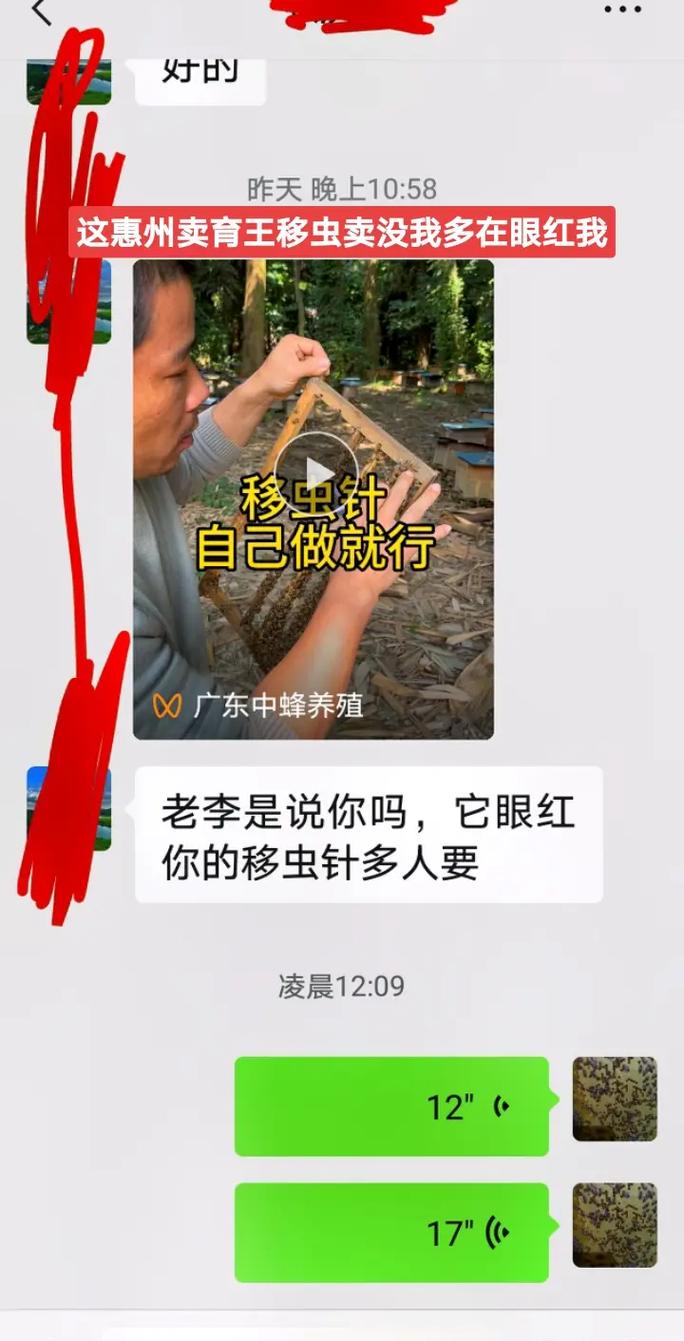 中蜂新法饲养技术视频,新手能学会吗?-图3 中蜂新法饲养技术视频,新手能学会吗?-图3