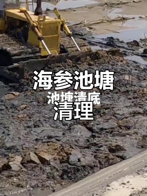 海参池塘养殖技术规范有哪些要点?-图3 海参池塘养殖技术规范有哪些要点?-图3