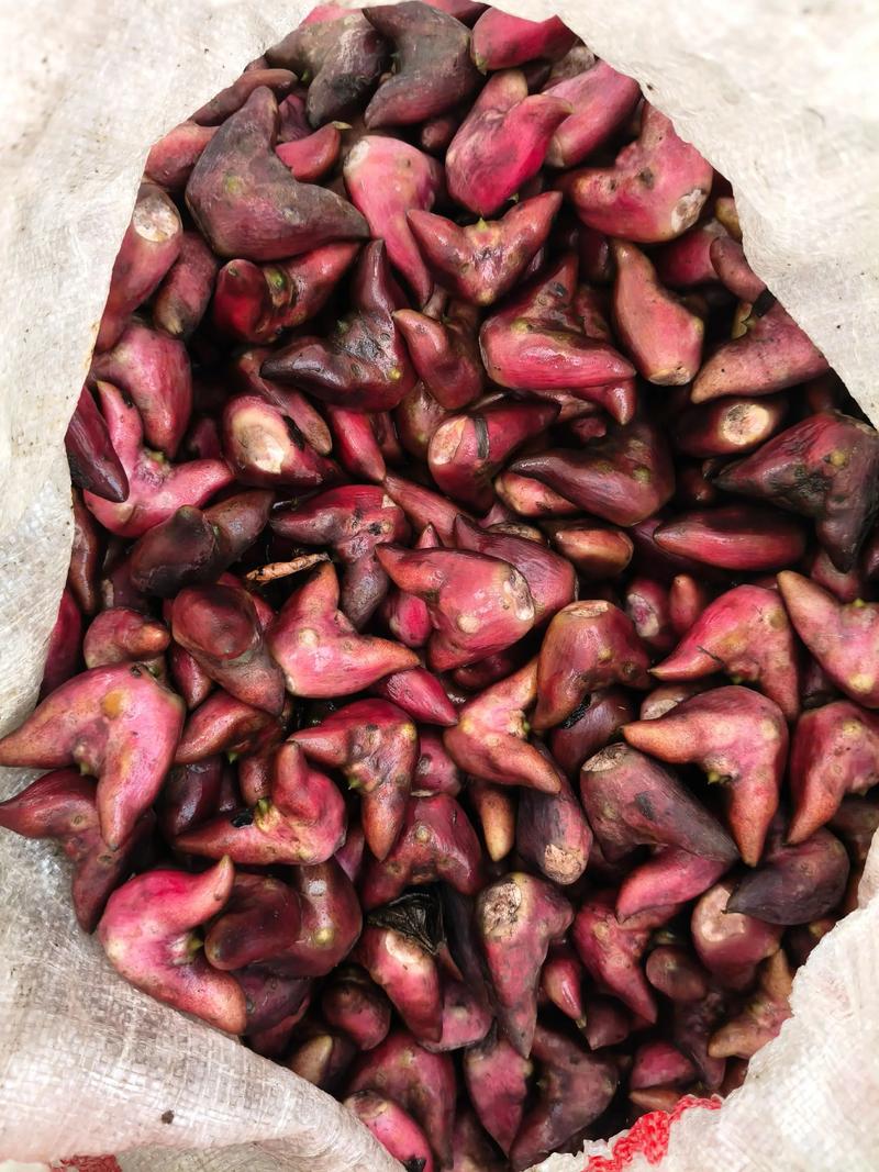 2025年花生价格会涨还是跌?-图2 2025年花生价格会涨还是跌?-图2