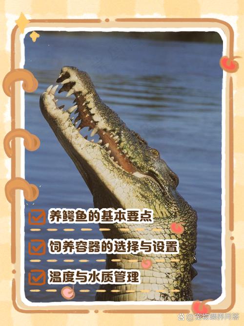 鳄鱼养殖技术哪里学？-图2