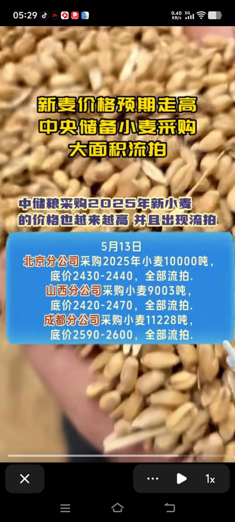 2025河南小麦价格会涨还是跌？-图2