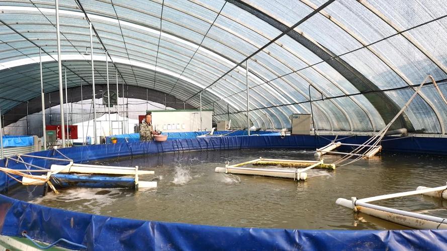 国内最先进养鱼技术有多牛？-图2