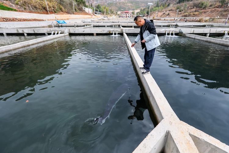 国内最先进养鱼技术有多牛?-图3 国内最先进养鱼技术有多牛?-图3