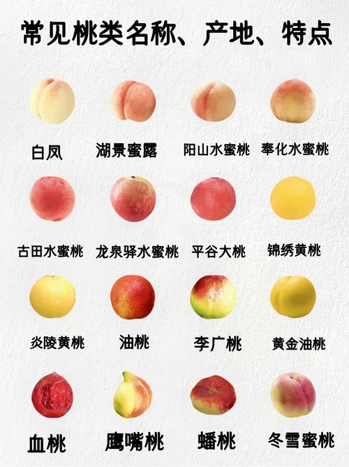 纯甜桃子品种有哪些?-图2 纯甜桃子品种有哪些?-图2