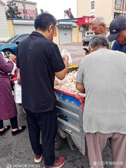 2025年6月鸡蛋价格会涨还是会跌?-图3 2025年6月鸡蛋价格会涨还是会跌?-图3