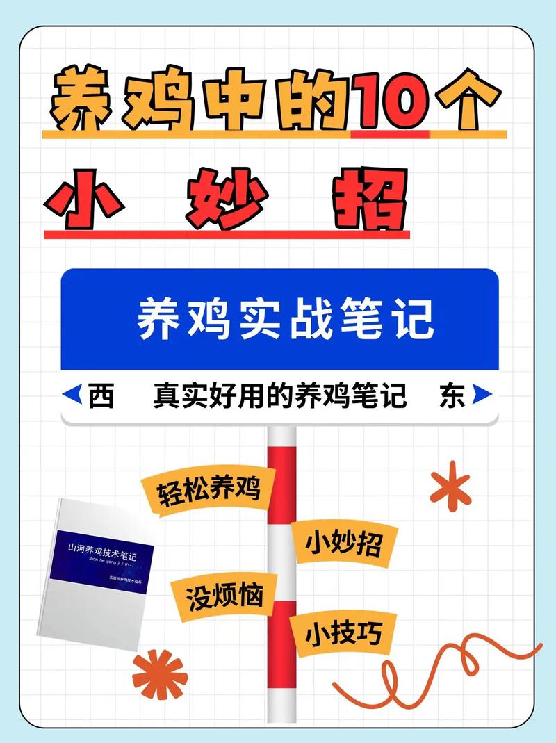 养鸡技术知识大全，哪些要点需掌握？-图3