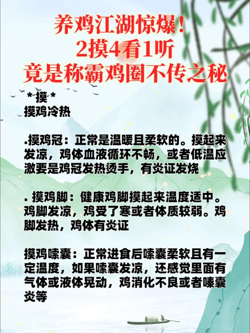 养鸡技术知识大全，哪些要点需掌握？-图1