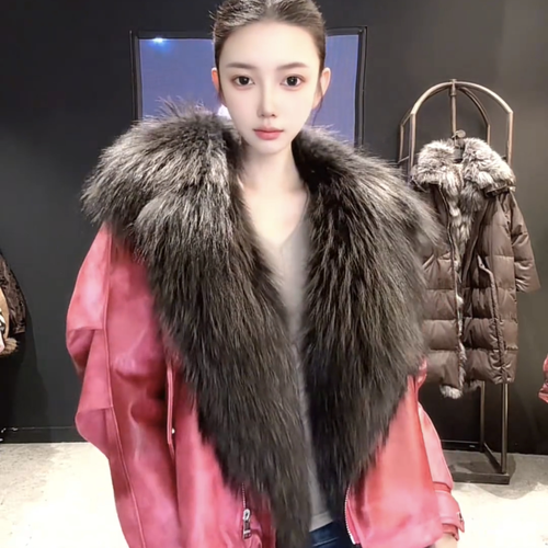 2025年貉皮最新价格多少？-图2