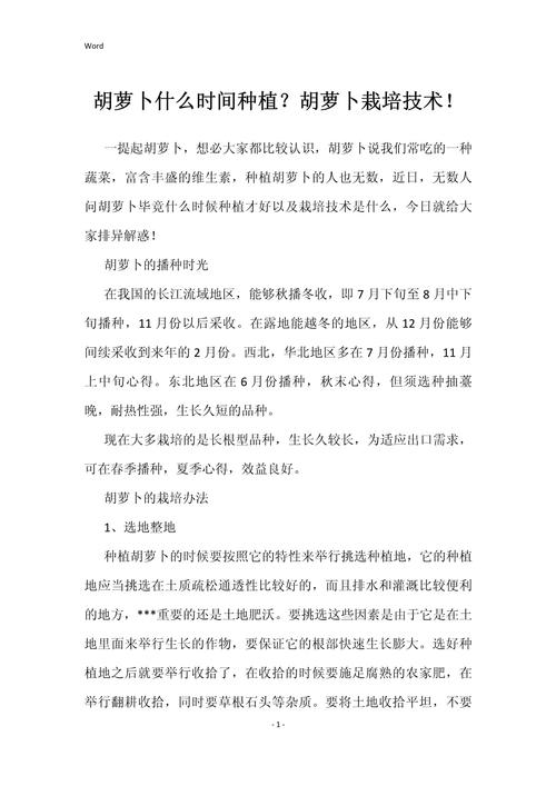 红萝卜何时种？关键技术有哪些？-图3