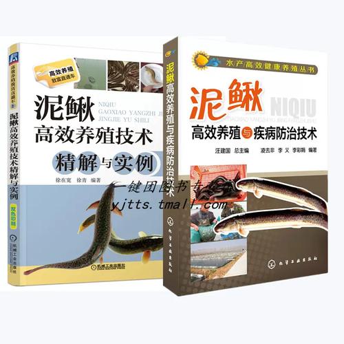 泥鳅全套养殖技术有哪些关键点？-图3