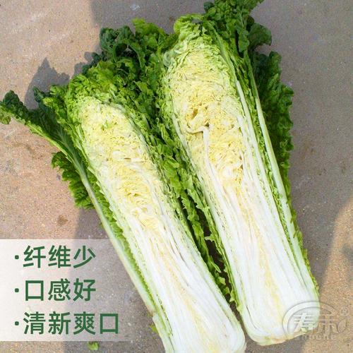 青麻叶大白菜有哪些常见品种?-图1 青麻叶大白菜有哪些常见品种?-图1