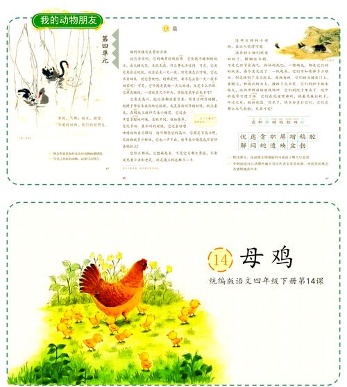 本地土鸡养殖技术课件,关键要点有哪些?-图3 本地土鸡养殖技术课件,关键要点有哪些?-图3