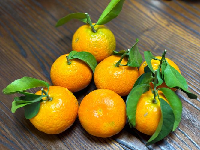 啥品种桔子最畅销?-图1 啥品种桔子最畅销?-图1
