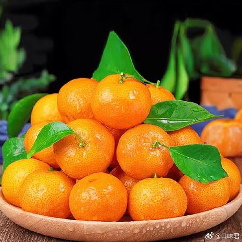 啥品种桔子最畅销？-图3