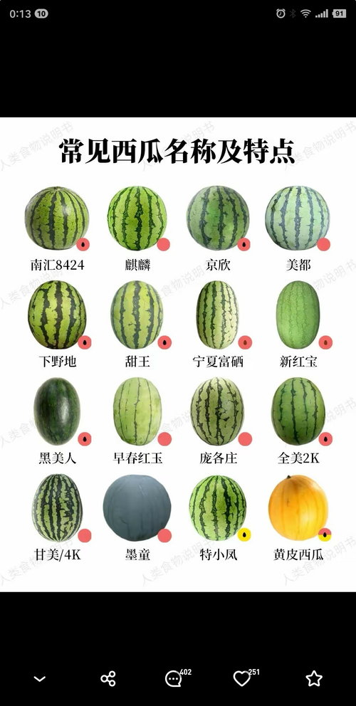 晚熟西瓜品种几月份种植合适？-图3