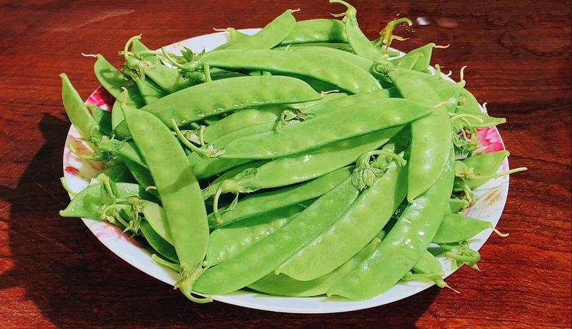 什么品种荷兰豆不用搭架？-图2