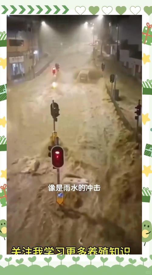 黄鳝高效养殖有哪些关键技术?-图2 黄鳝高效养殖有哪些关键技术?-图2