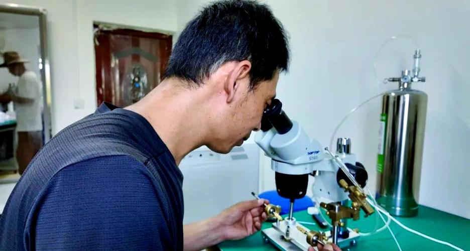 蜜蜂人工授精技术视频怎么操作？-图1