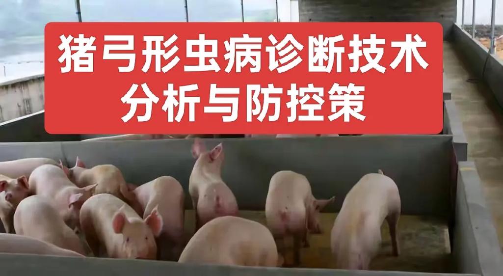 如何有效防治猪繁殖障碍病？-图3