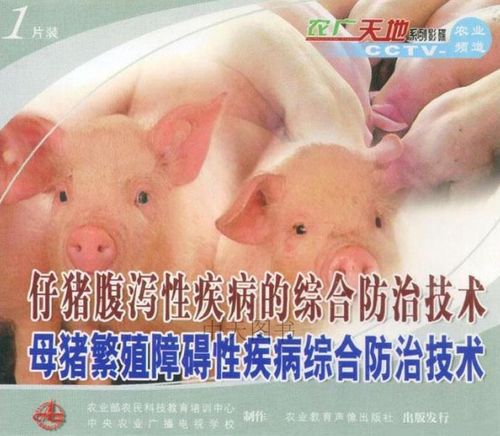 如何有效防治猪繁殖障碍病？-图1