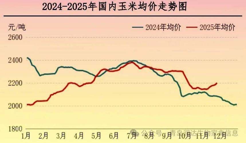 今日肉毛鸡价格行情如何？-图3
