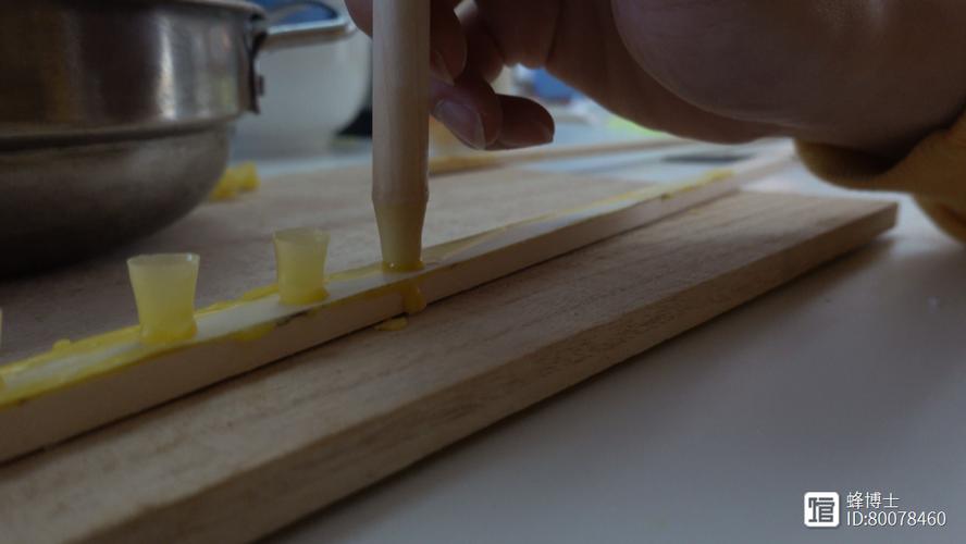 人工育王养蜂技术视频怎么学？-图3