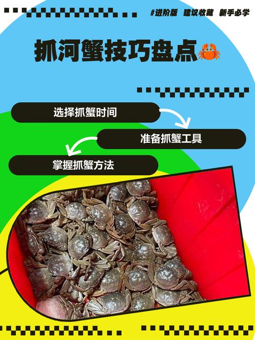 辽河河蟹成蟹养殖技术要点有哪些?-图3 辽河河蟹成蟹养殖技术要点有哪些?-图3