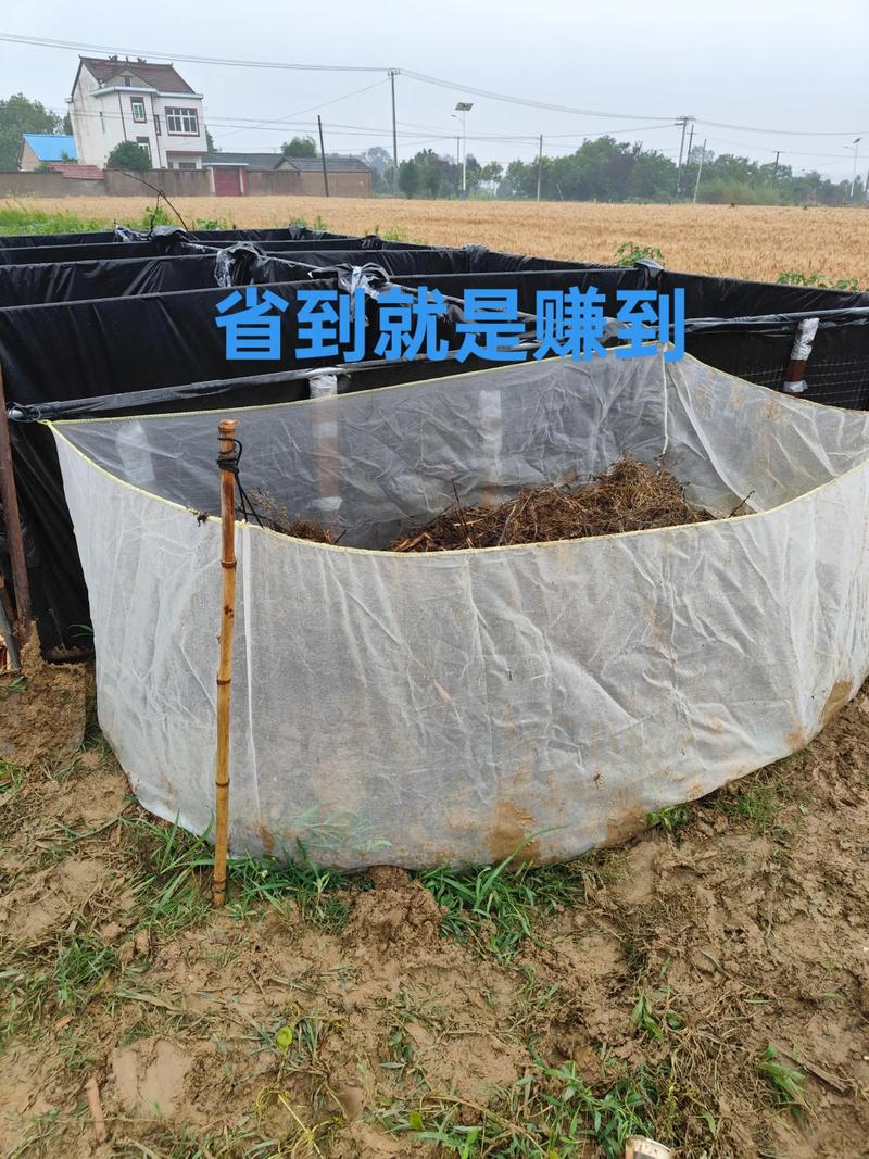 中央7台蚯蚓养殖技术有哪些要点？-图3