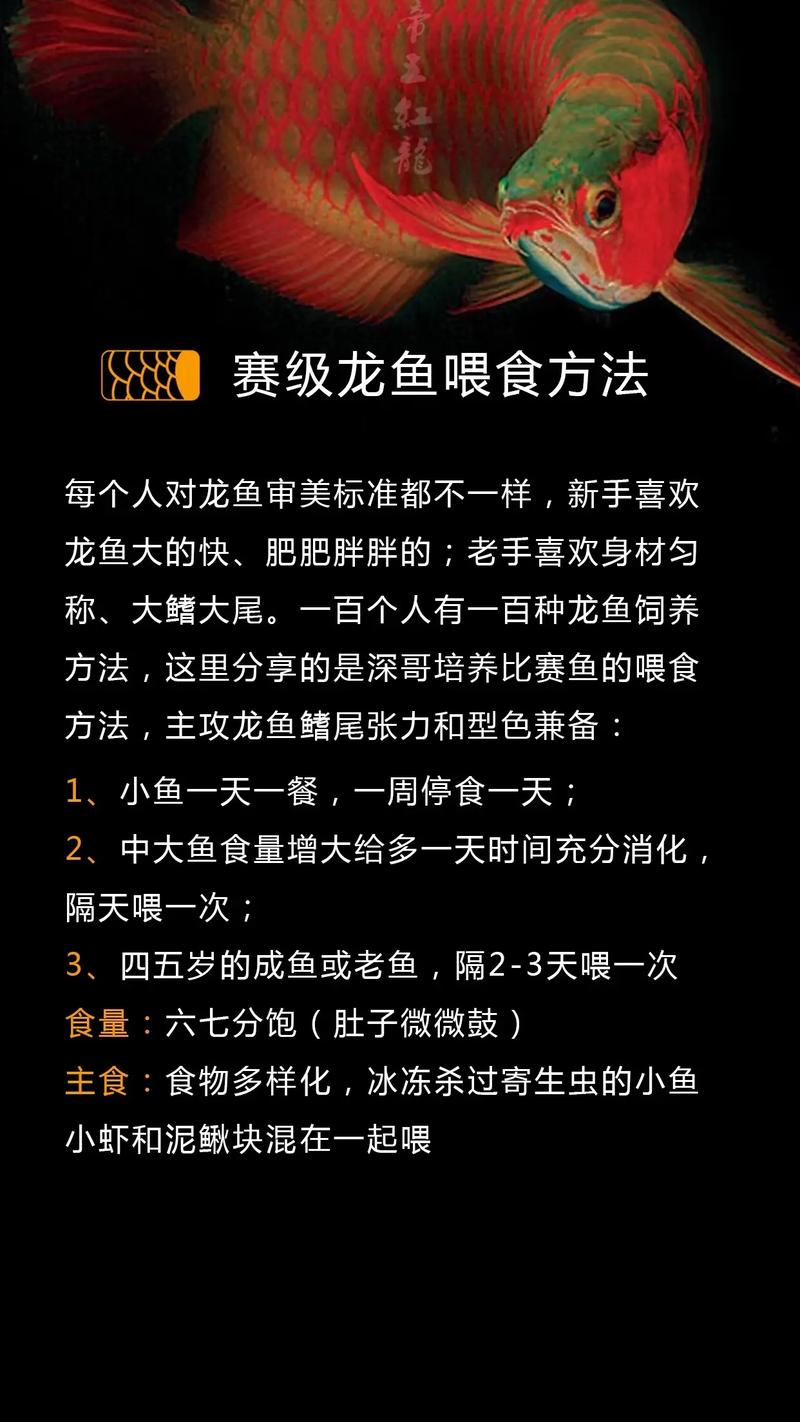 养殖养鱼技术方案该怎么学才有效？-图1