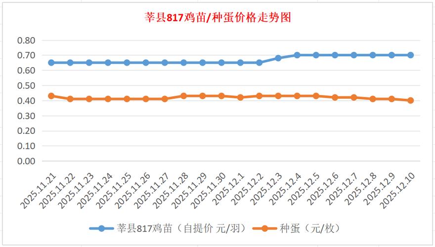 817毛鸡最新价格多少？-图2