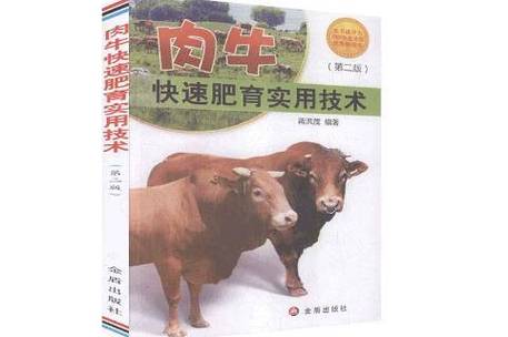 肉牛快速肥育有哪些实用技术？-图1