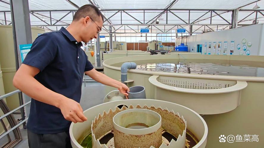 台湾水蛭养殖技术培训有何关键要点？-图2