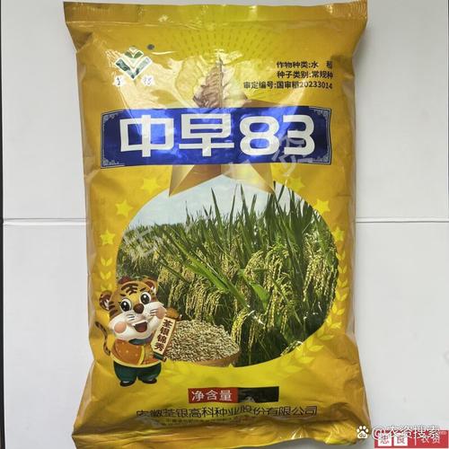 水稻早熟品种有哪些？-图1