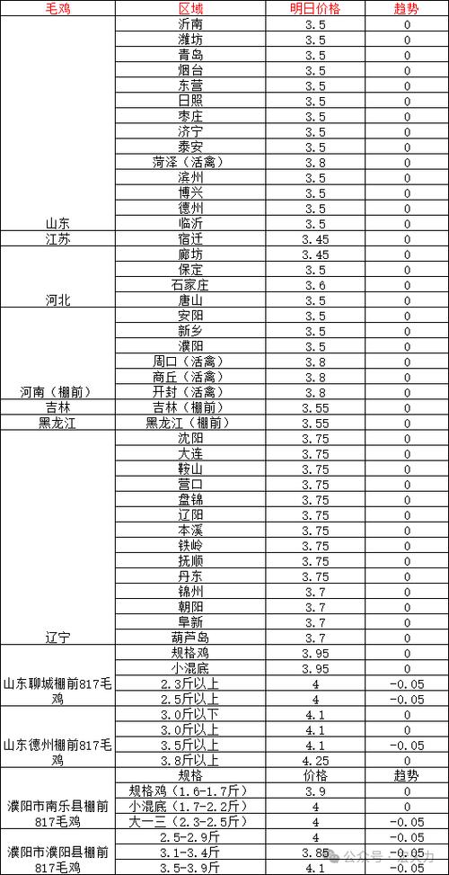 今日肉毛鸡价格行情如何？-图1