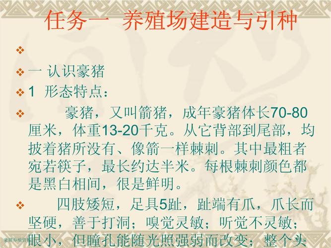 豪猪养殖技术有哪些关键要点？-图3