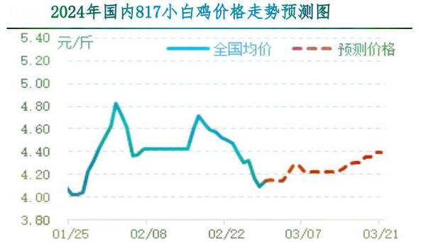 今日肉食鸡毛鸡价格行情如何？-图2