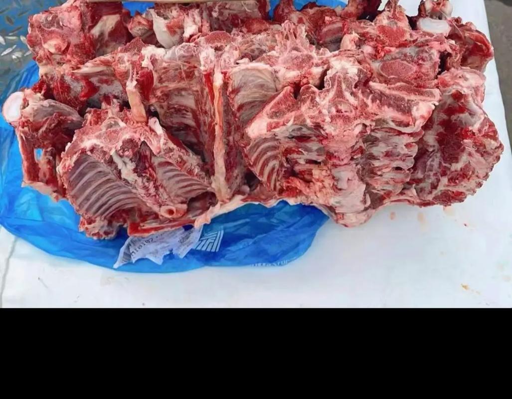 2025活蝎子价格会涨还是跌？-图2