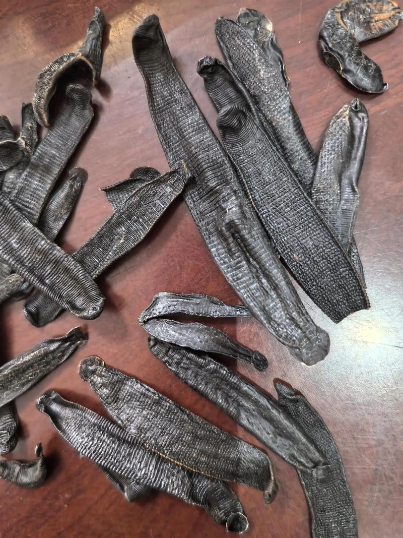 水蛭养殖技术与价格有何关联？-图2