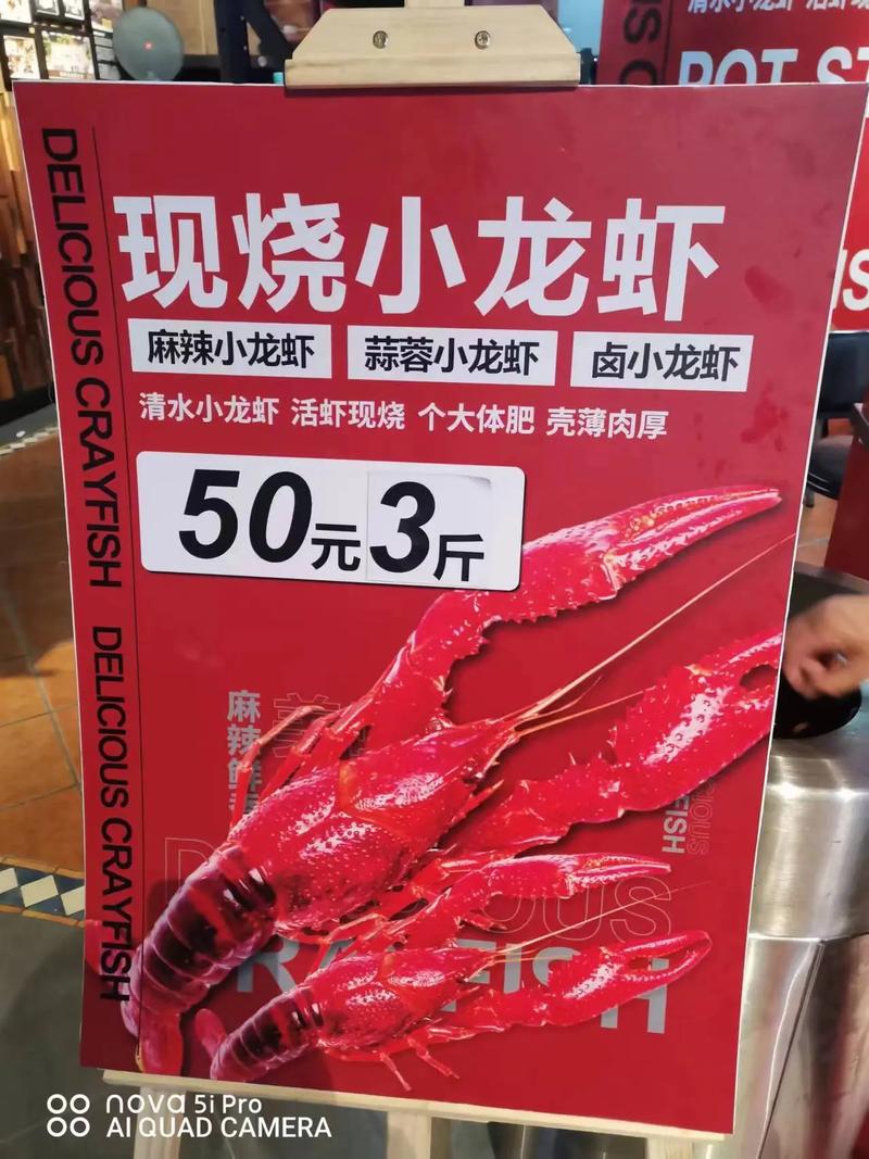 杭州小龙虾批发价多少钱一斤？-图2