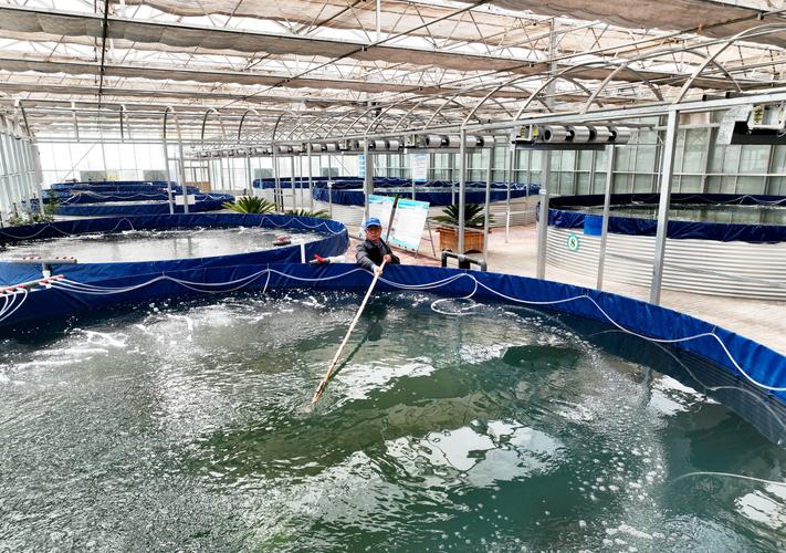 200亩水库养鱼，高产技术怎么搞？-图2