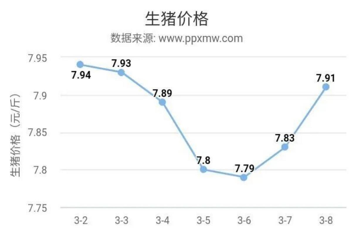 生猪价格何时能涨？未来走势如何？-图2