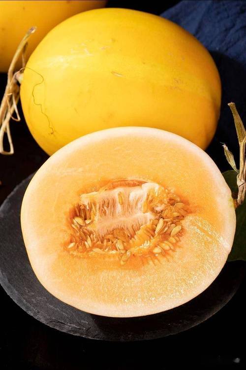 世界哈密瓜品种有哪些？-图1