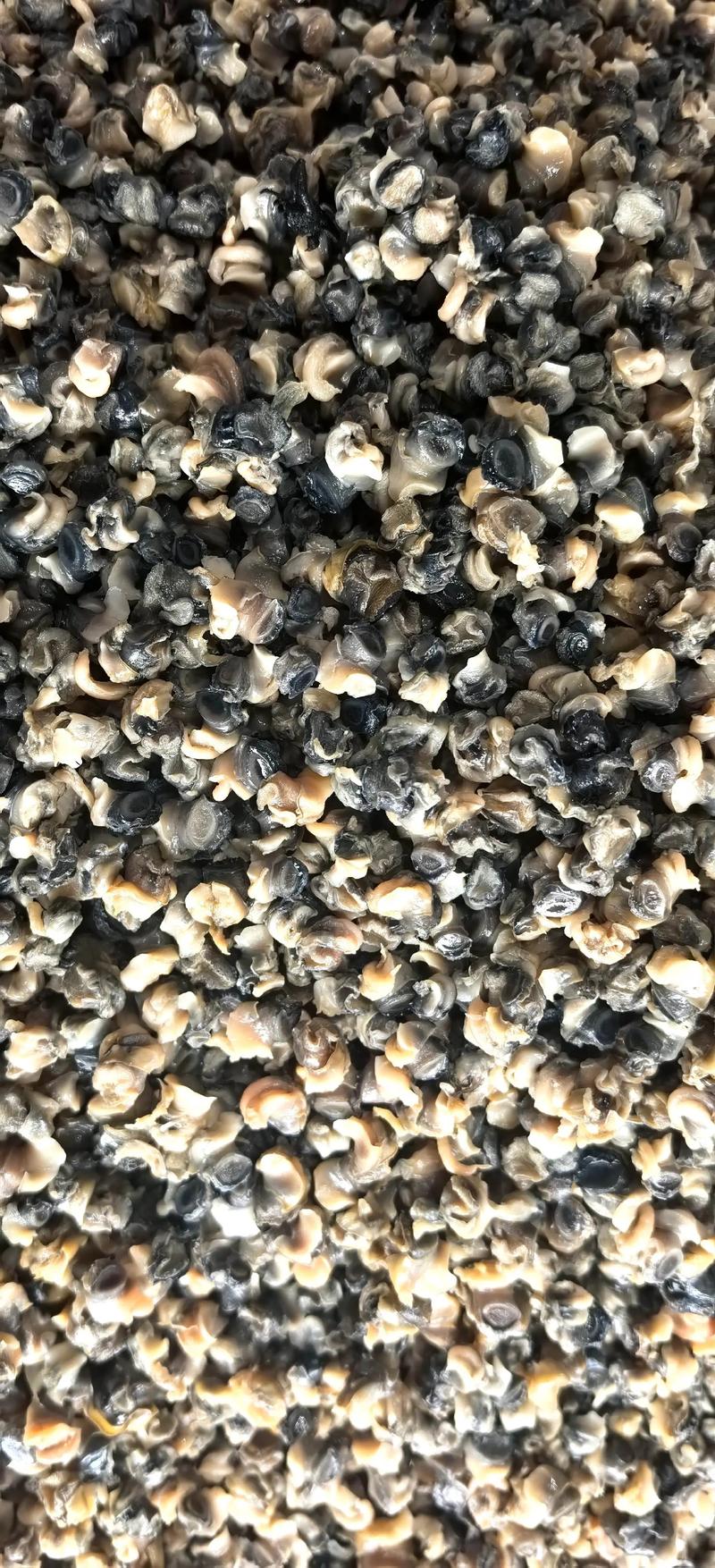 2025年田螺收购价会涨还是跌？-图2