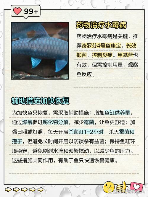 淡水养殖鱼病如何科学有效防治？-图3